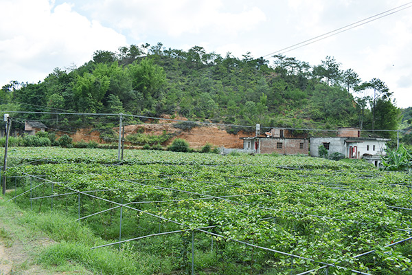 吉鸿基地