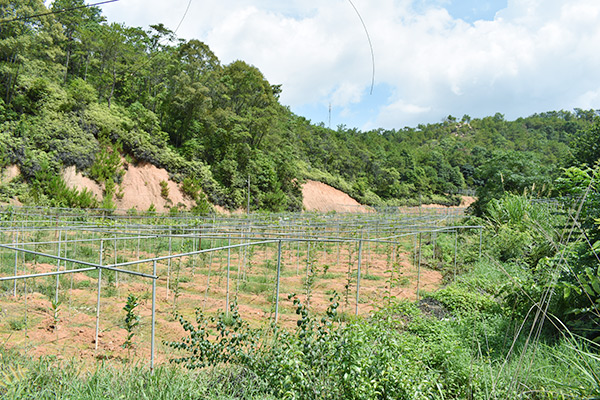 吉鸿基地