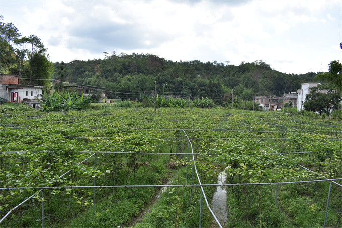 吉鸿基地