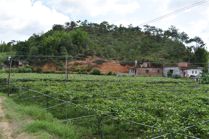 吉鸿基地