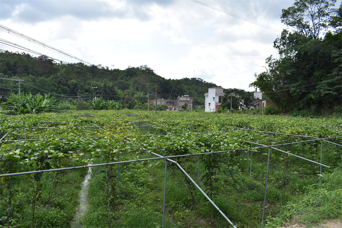 吉鸿基地