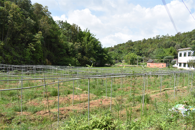 吉鸿基地