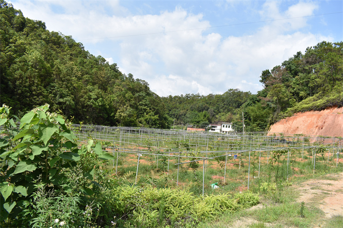 吉鸿基地