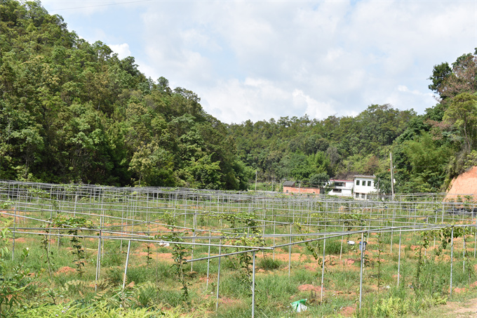 吉鸿基地