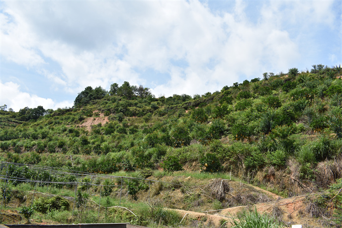 吉鸿基地